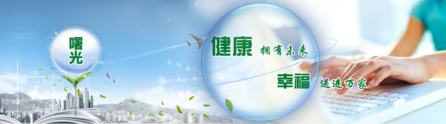 深圳市登霸電子有限公司